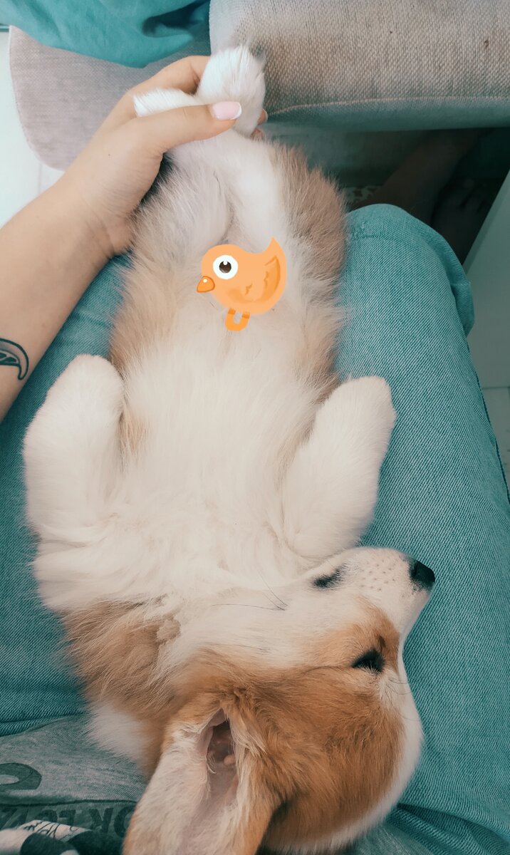 Зайчику 3 месяца