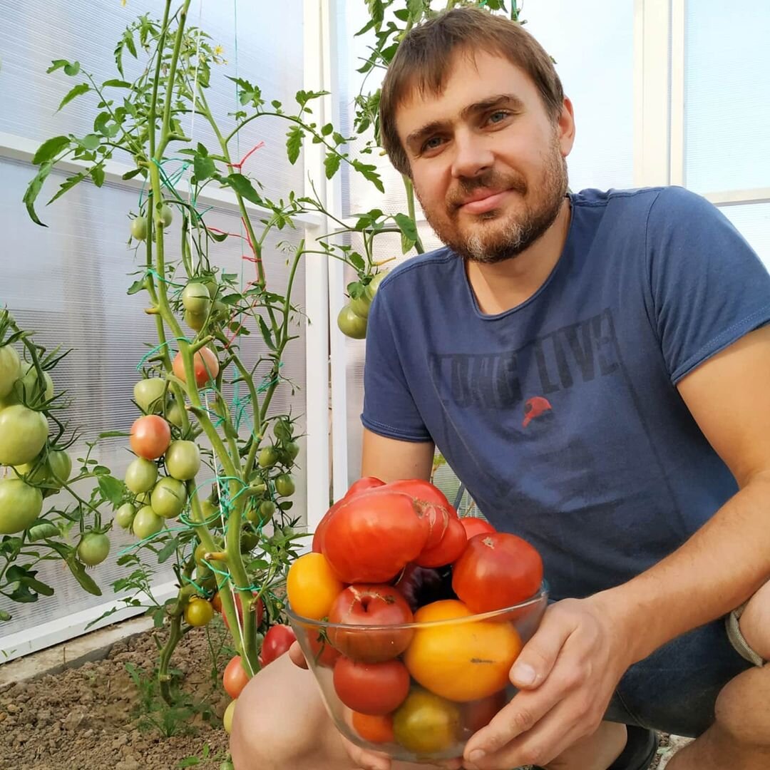 Мой урожай