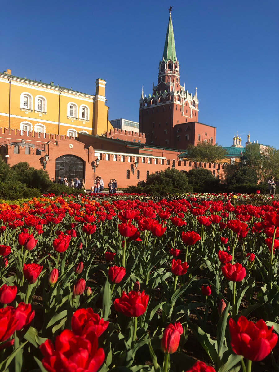 10 мая, наконец, наступила весна)