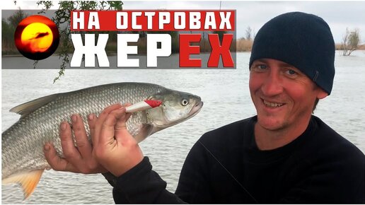 В поисках ерша астрахань. В поисках ерша астрахань. В поисках ерша. Место клева. Каспийская сельдь залом.