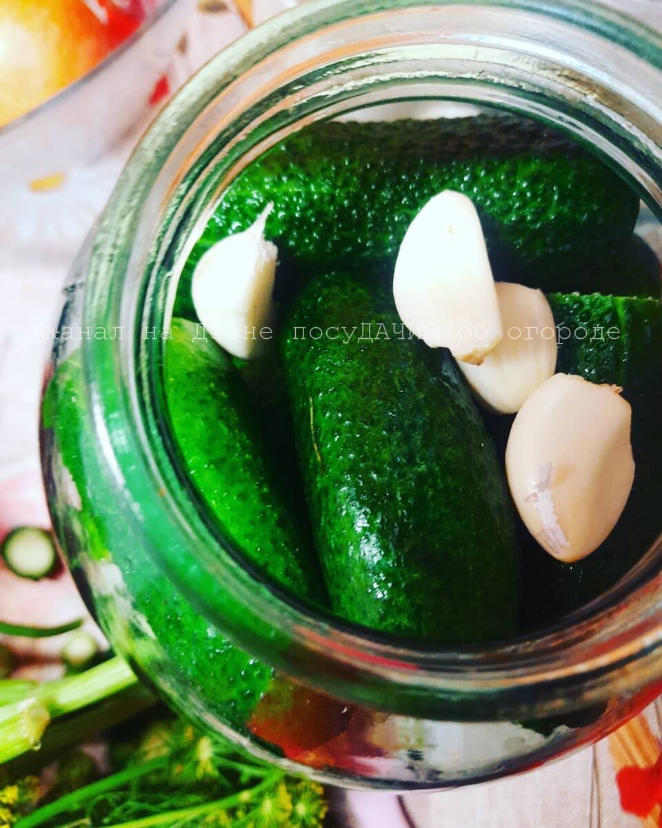 Я больше люблю соленые огурцы, чем помидоры