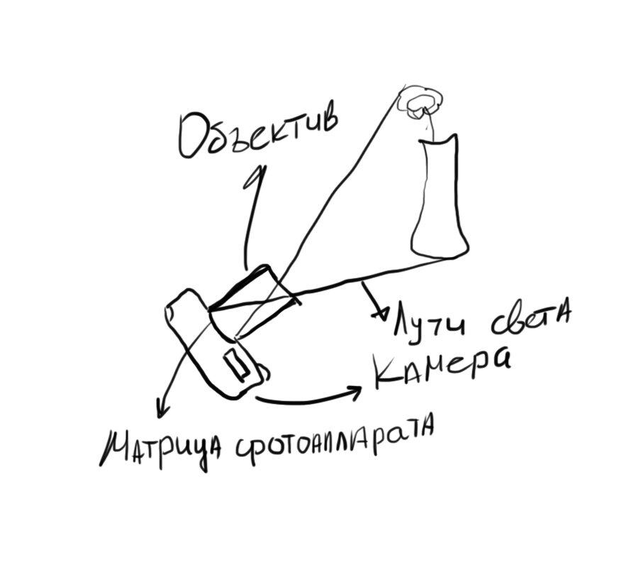 Как свет попадает в фотоаппарат 