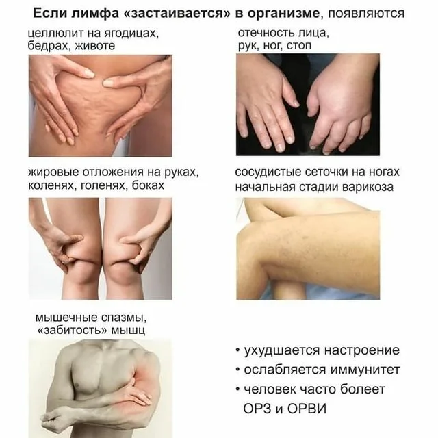 Фото из открытого истоника