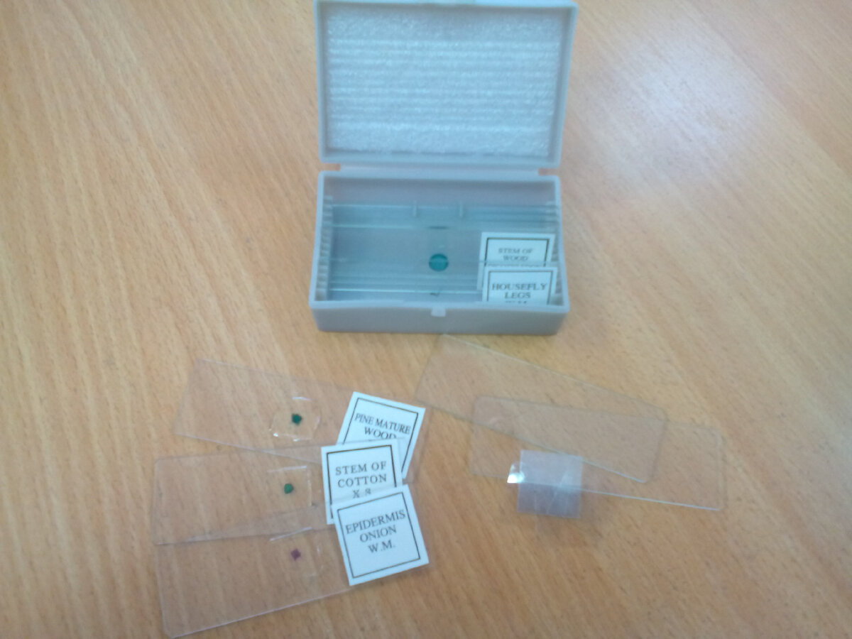 Готовые препараты для исследования.