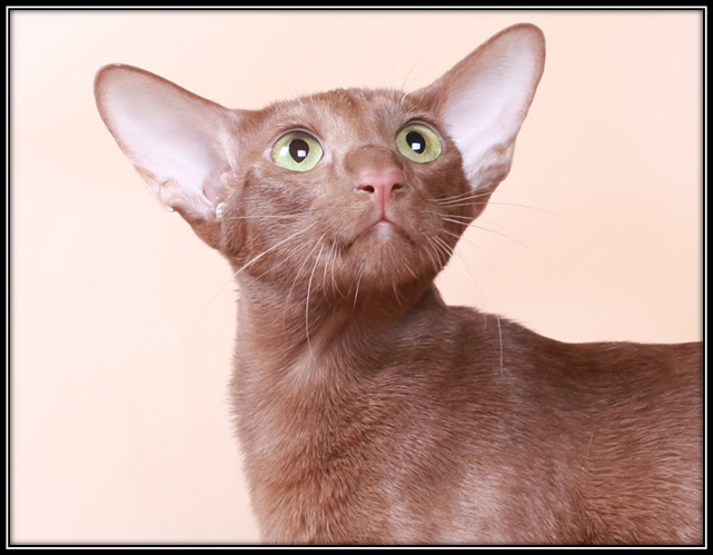 Источник: https://go.mail.ru