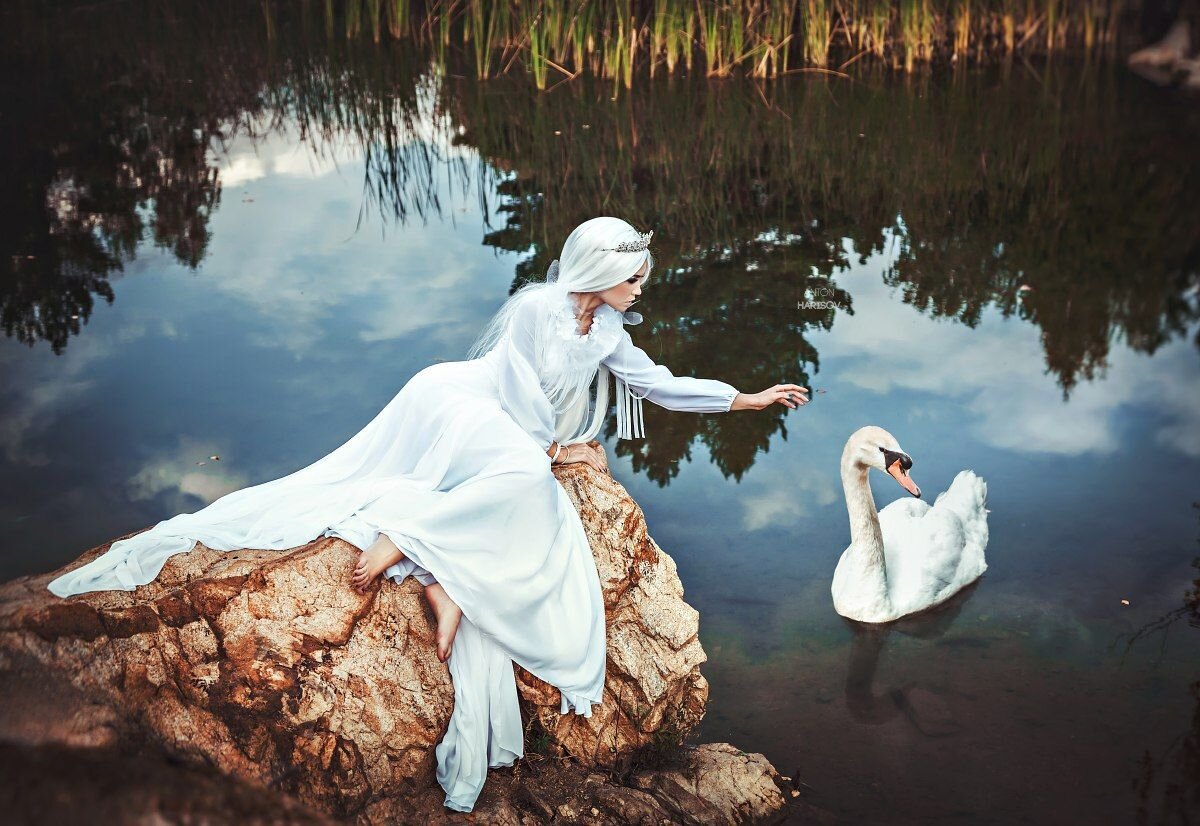 Гусь сказочный. Федоскинская роспись гуси-лебеди. Девочка лебедь санги. Произведение льва николаевича толстого лебеди. Как называется сказка лебеди.