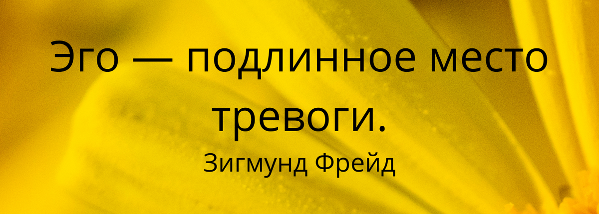 Цитата Зигмунда  Фрейда. Открытый источник. 