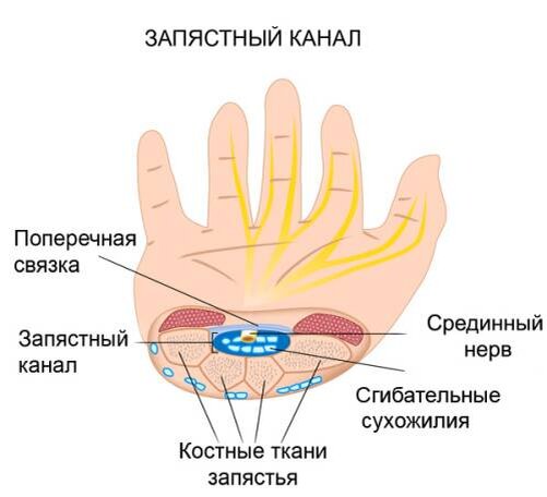 Картинка из интернета