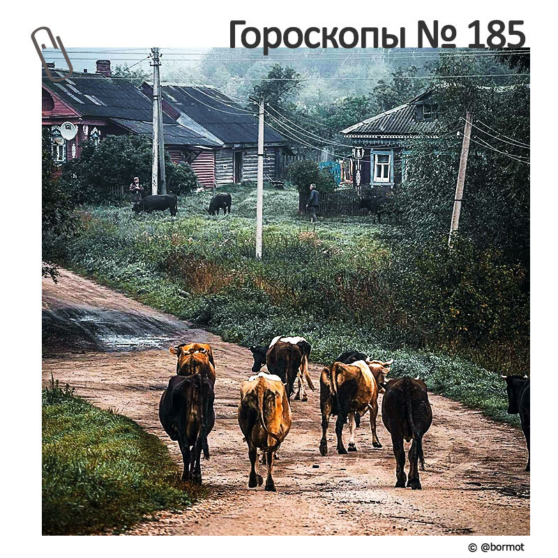 
Знаки Зодиака поставлены в определенном порядке: от самого «счастливого» до самого «невезучего».