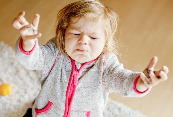 Фото: Shutterstock / Romrodphoto 