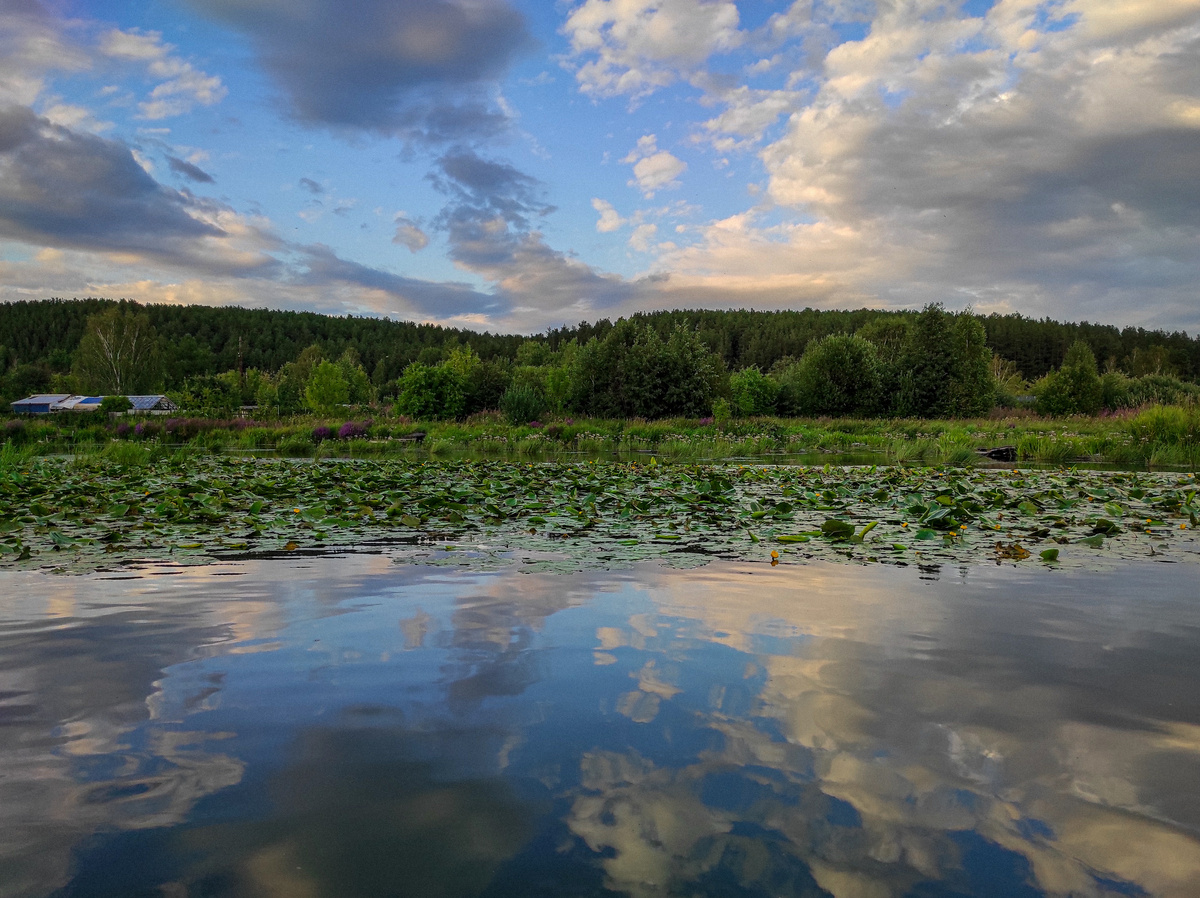 Фото Анастасии Глушковой