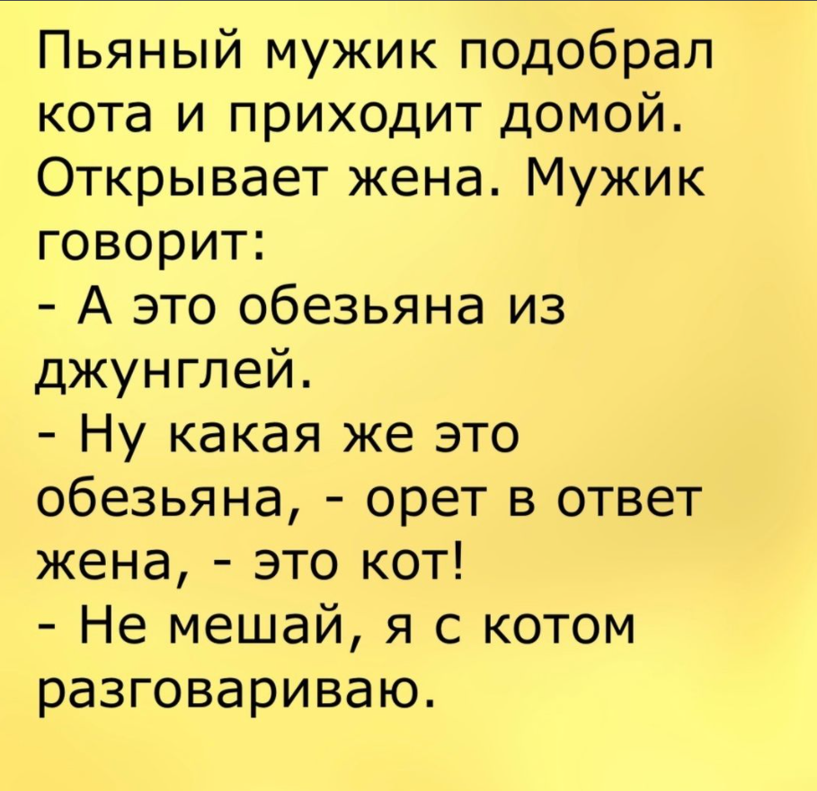 Лучшие шутки. Смешные анекдоты. Анекдоты приколы. Анекдоты самые смешные. Анекдоты смешные до слез