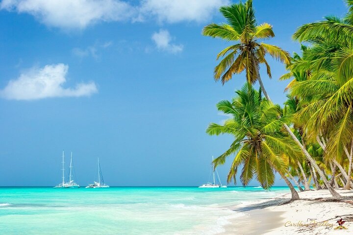 Фото из широкого доступа в интернете