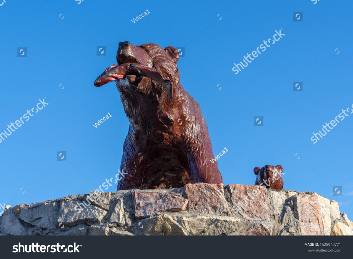 фото автора. Сделано на Камчатке.