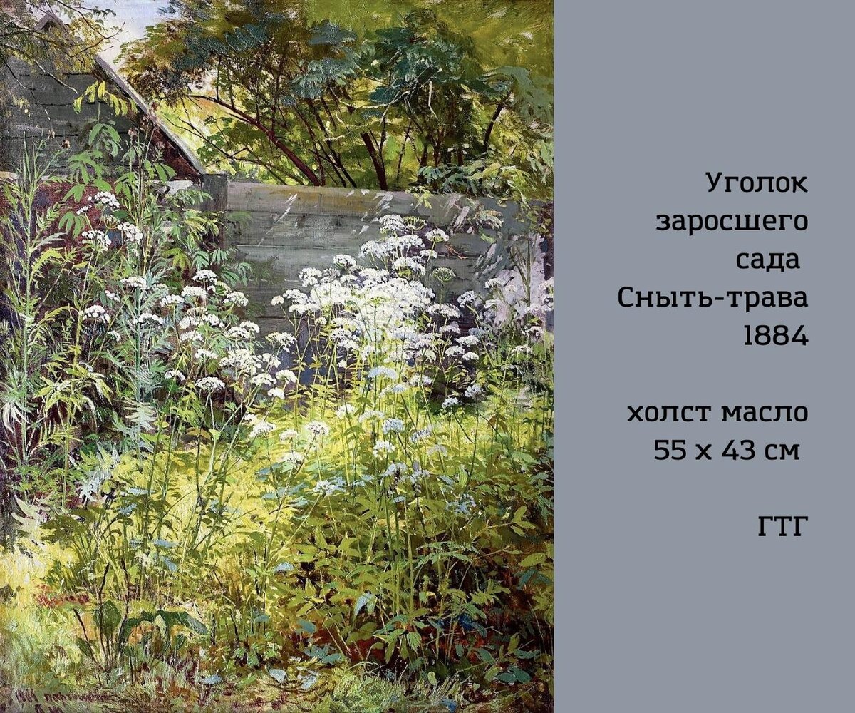 Сочинение по картине сныть трава
