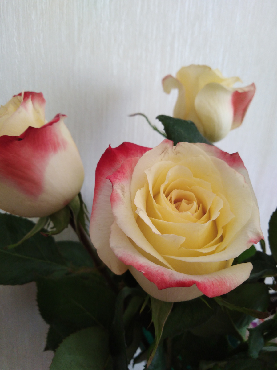 На самом деле они не желтые   