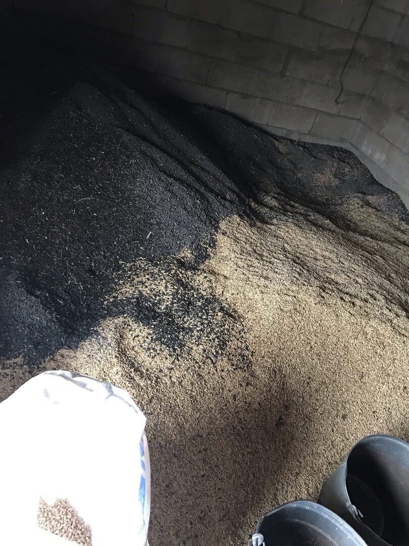 Первый отсек зерника