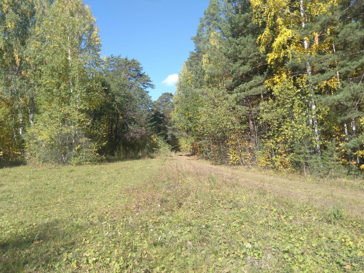 Фото автора. 