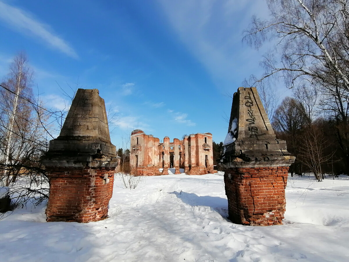 Руины главного усадебного дома усадьбы Петровское-Алабино (Княжищево). Фото автора