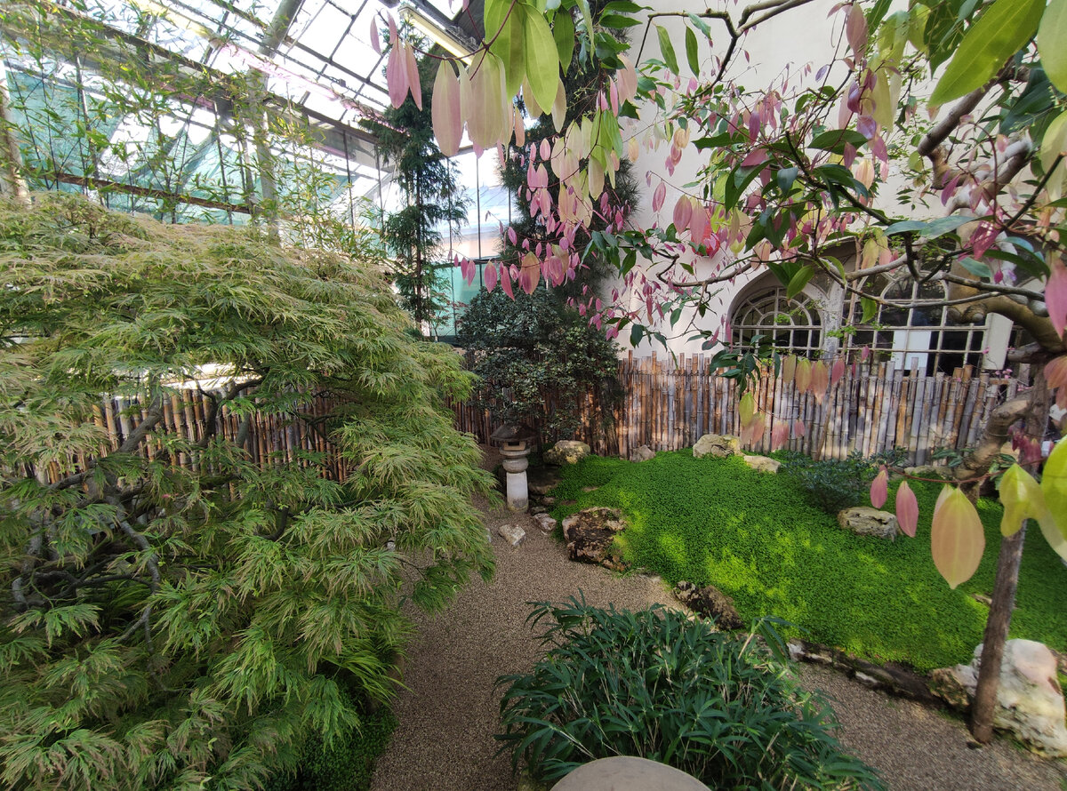 Японкий садик в Ботаническом саду.
