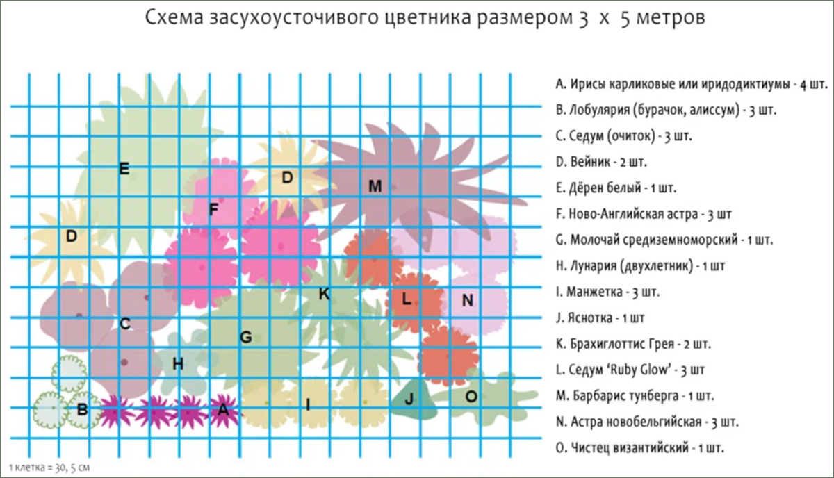 Цветники пита удольфа схема посадки
