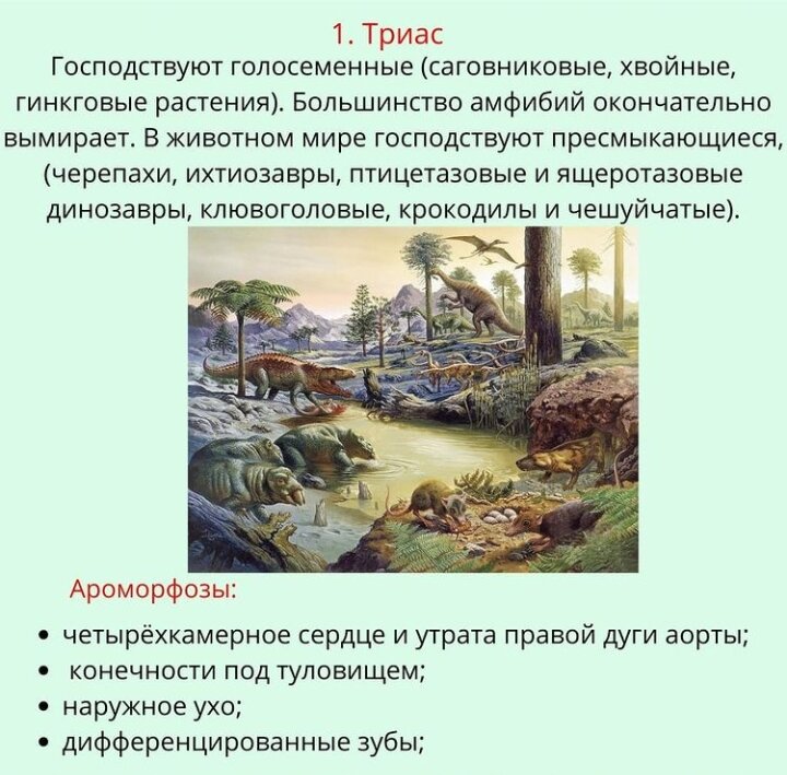 Эры и периоды | Учиться - просто! | Дзен