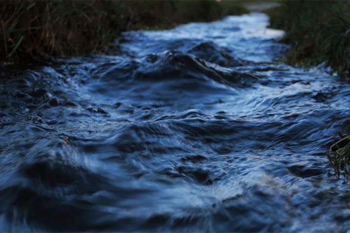 Фото: pixabay.com 