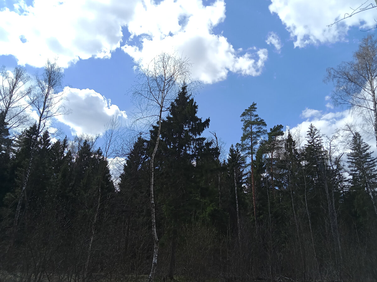 Углубляюсь