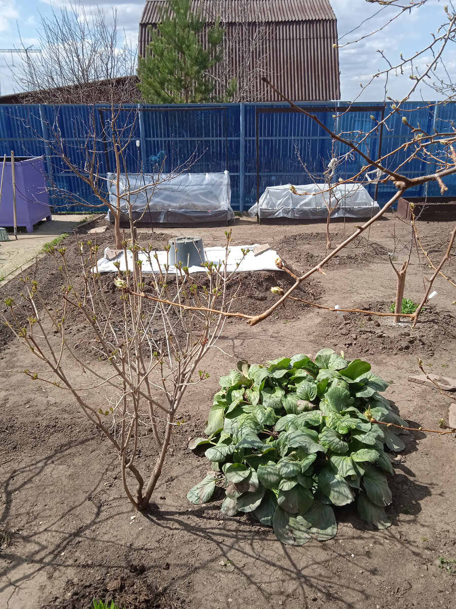 Компост с ведром.