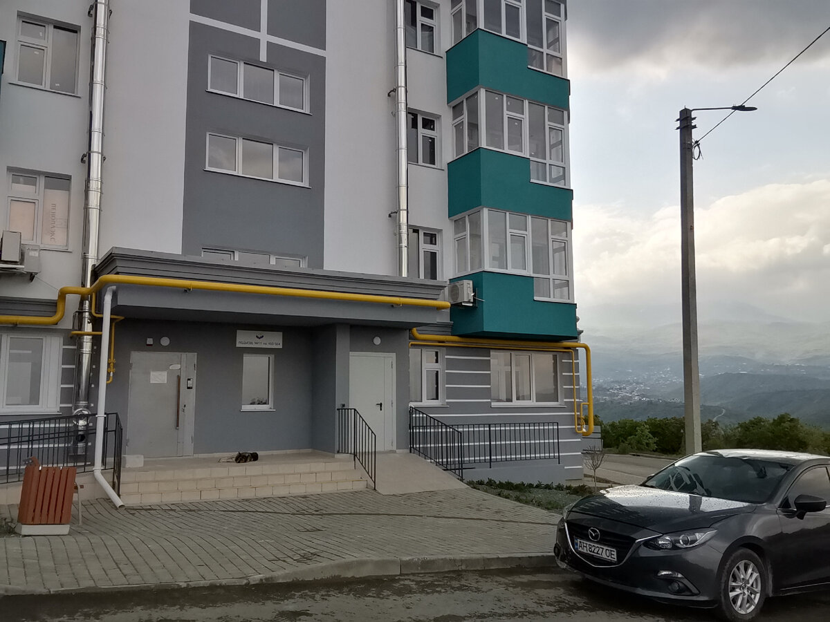 Бобику понравилось моё чистое крылечко.