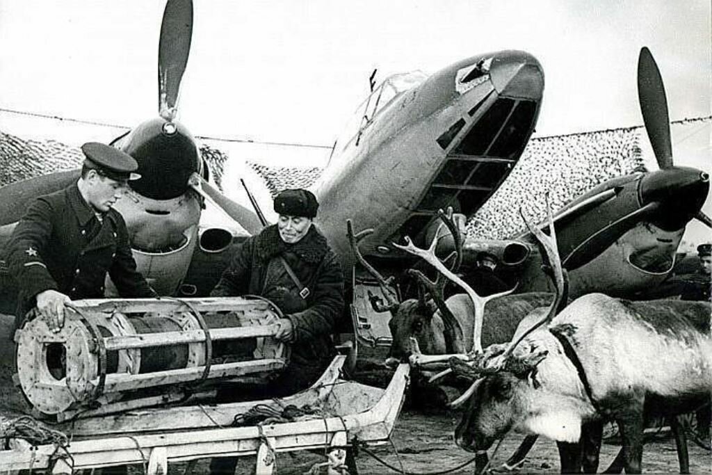 Подвозка авиабомб на оленьих упряжках к стоянке бомбардировщика Пе-2 ВВС Северного флота на аэродроме Ваенга. Фото: Евгений Халдей, 1942 год.