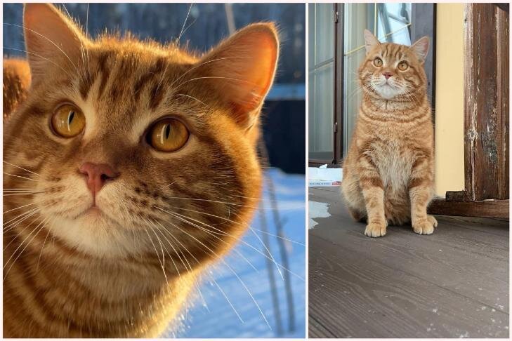    Фото: паблик "Бюро находок Новосибирск"