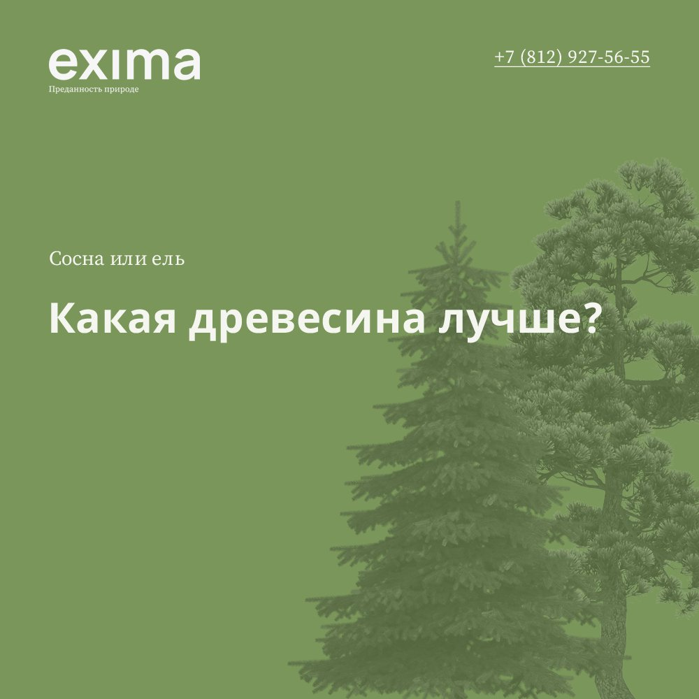 Давайте сегодня разберем какая древесина лучше - сосна или ель? | EXIMA -  Строительная компания. | Дзен