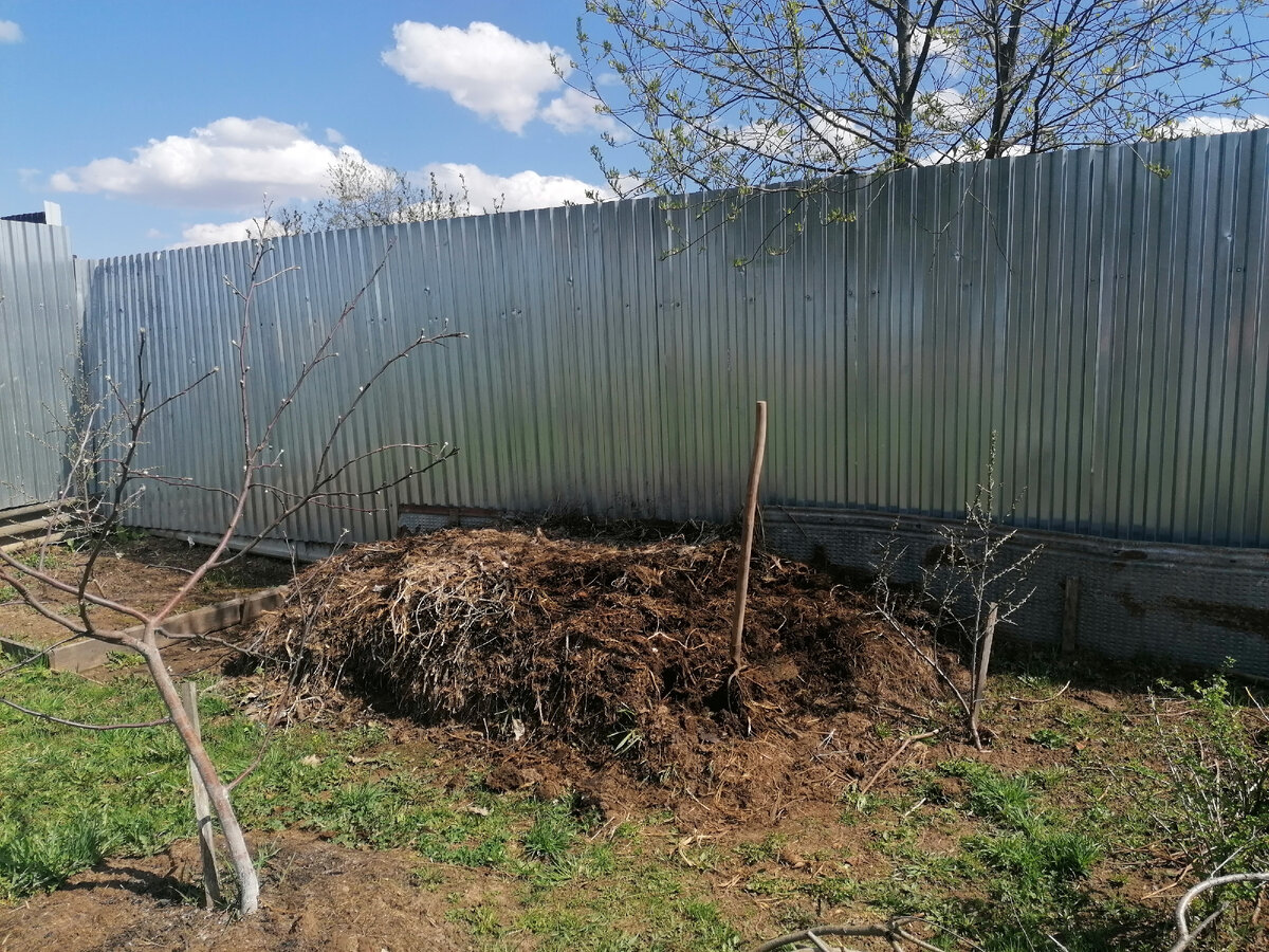 вот она летняя могуча-кучка компоста