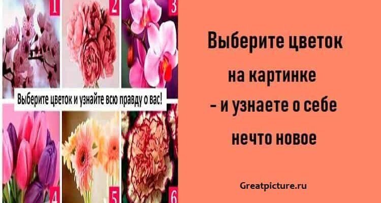Источник: www.greatpicture.ru