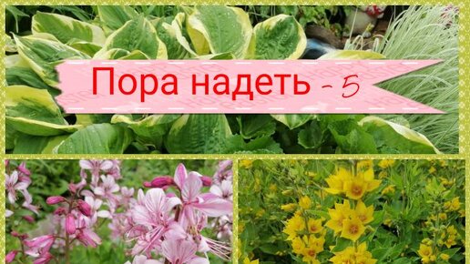 Проект пора