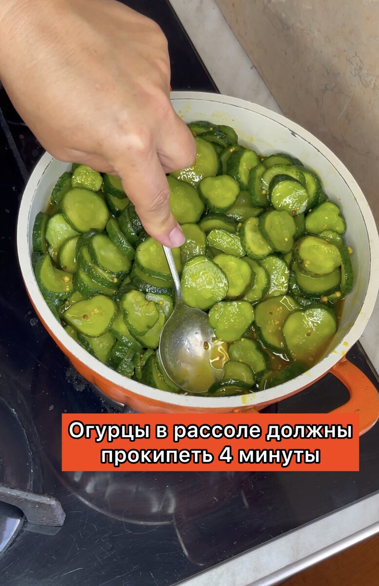 Огурчики из Мака взорвали интернет. Бомбический вкусные огурцы для  гамбургеров и бутербродов!!!! | Татьяна Chichurina Чичурина | Дзен