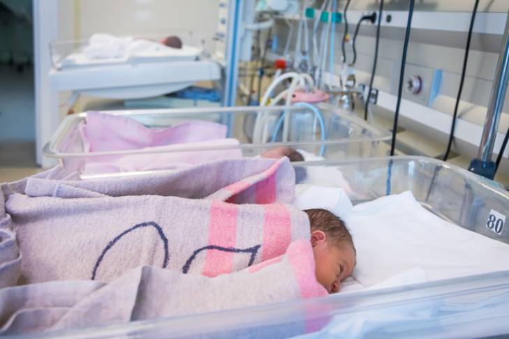    Фото Андрея Заржецкого