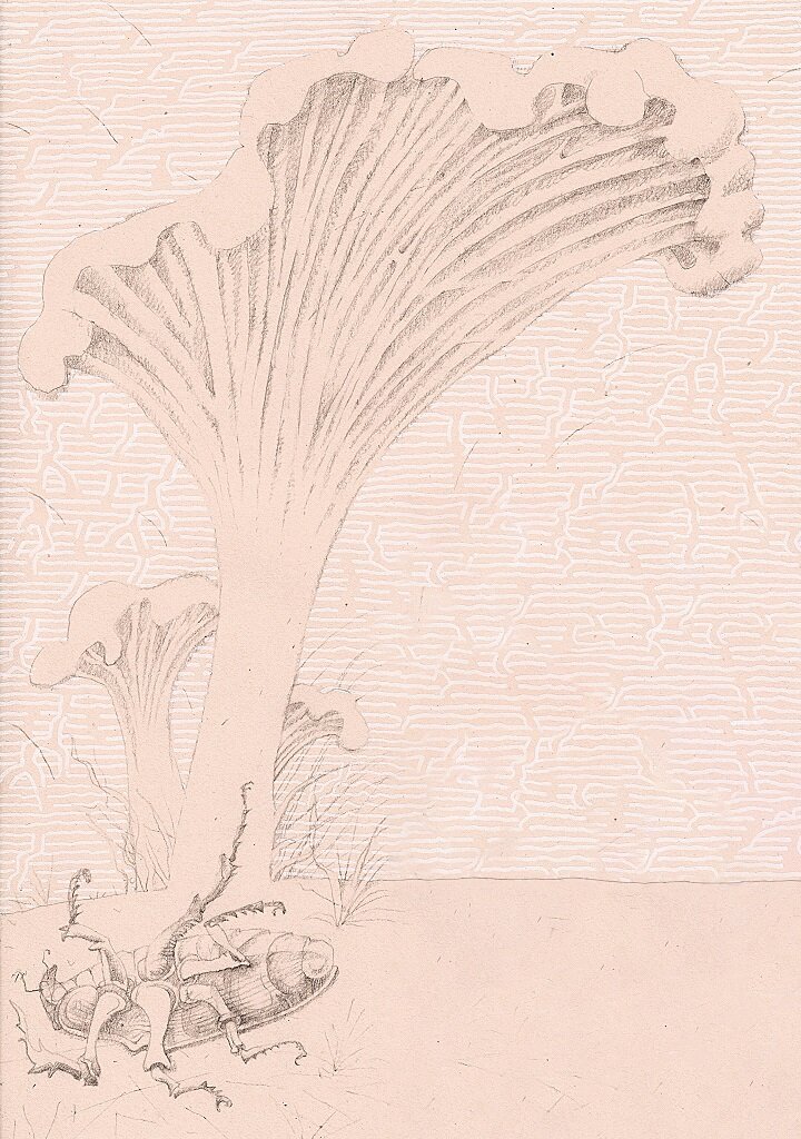 Иллюстрация Петра Перевезенцева