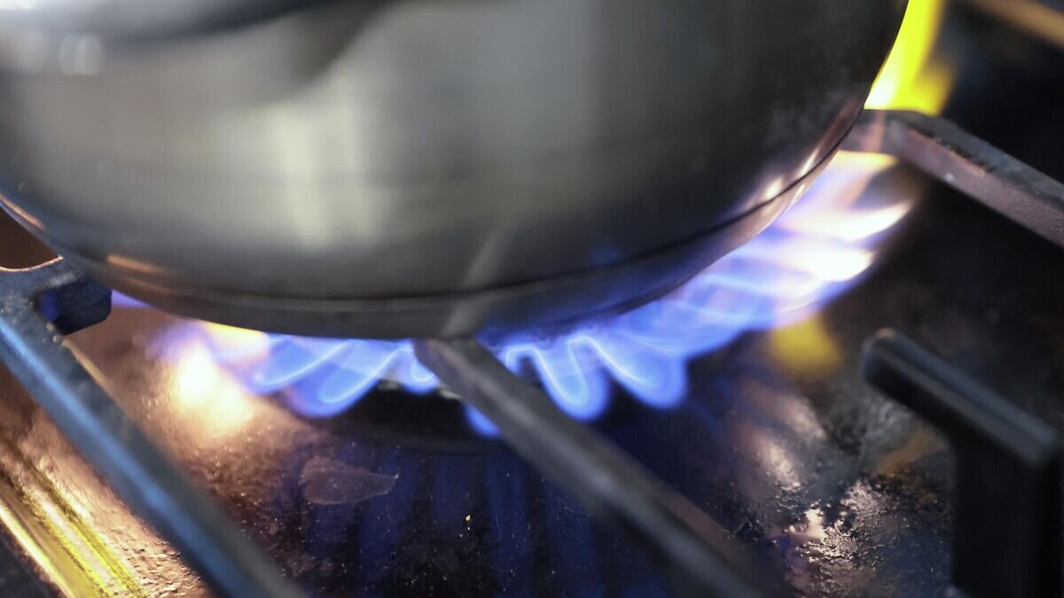    Кастрюля на газовой плите© РИА Новости / Виталий Белоусов
