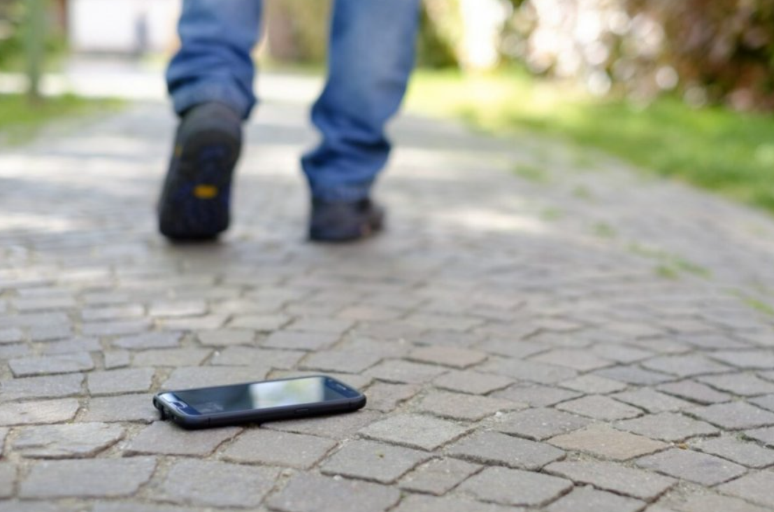 Фото из свободных источников интернета