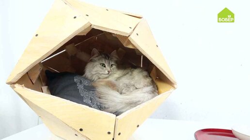 Зимний домик для кошки на улице | Кошка на окошке