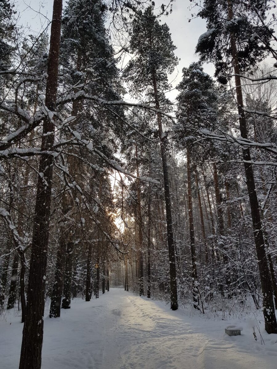 Совет не по вкусу | Неутомимая | Дзен