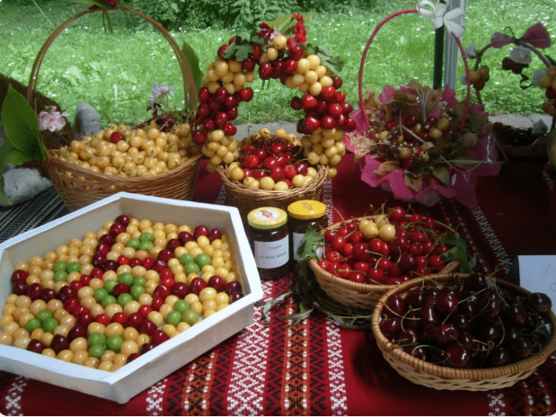 В Кюстендил ежегодно в конце июня проходит фестиваль Черешни 
