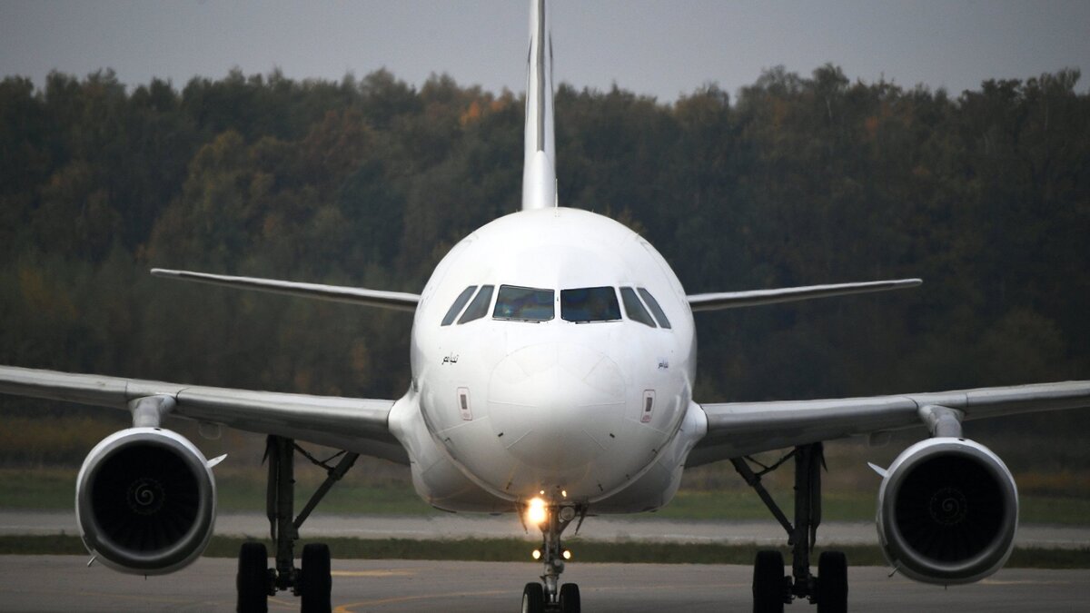    Самолет в аэропорту Домодедово© РИА Новости . Максим Блинов