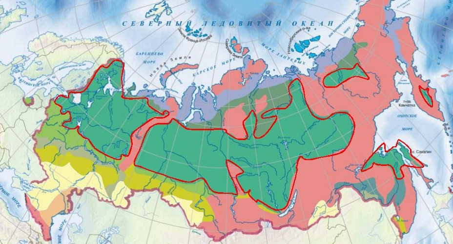 Где находится Тайга на карте России показать