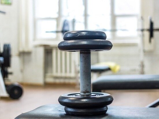     фото: pixabay.com