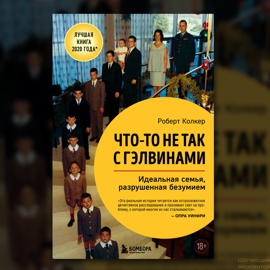 Чтото не так с гэлвинами книга. Что-то не так с Гэлвинами книга.