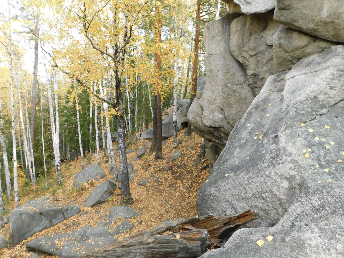 Скалы Соколиный камень в получасе езды от Екатеринбурга. Фото автора.
