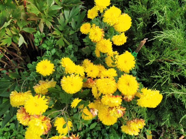    Фото: Екатерина Иванова. UG.RU